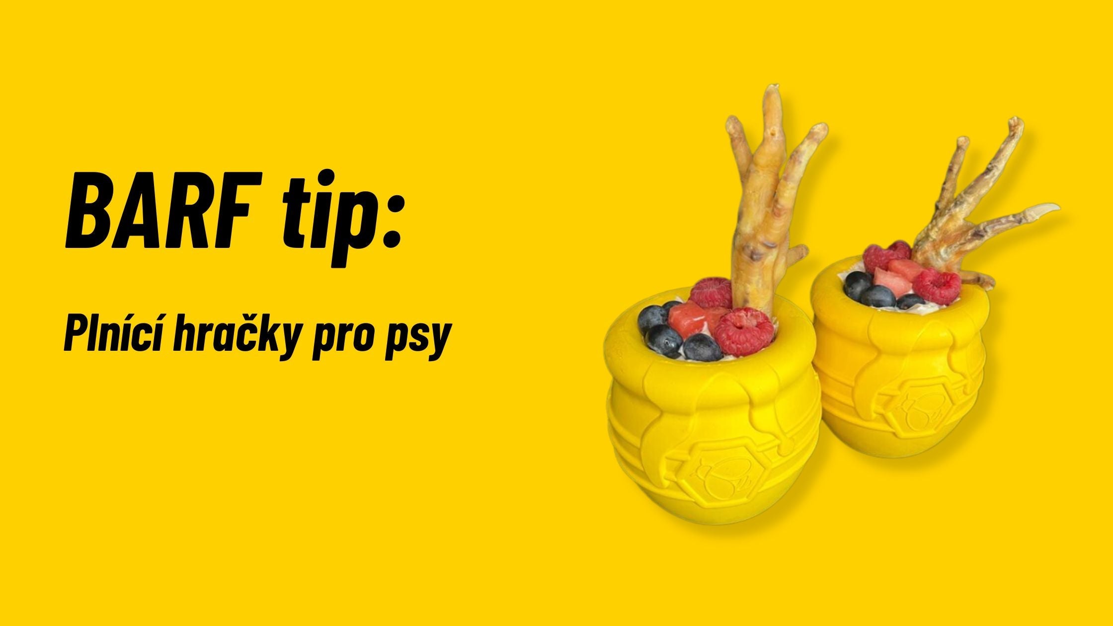 Jak zabavit psa: Zkus plnicí hračky