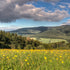 Kam na výlet se psem: Bíle Karpaty - Nová Lhota (18 km)