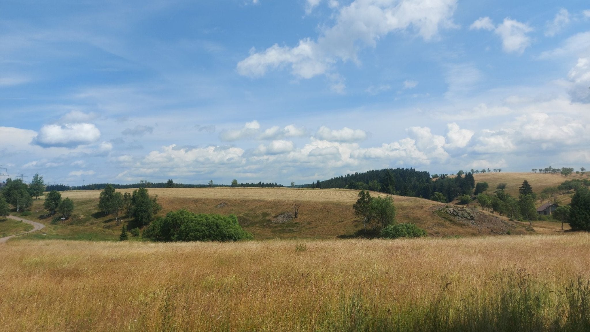Kam na výlet se psem: Krušné hory (20 km)