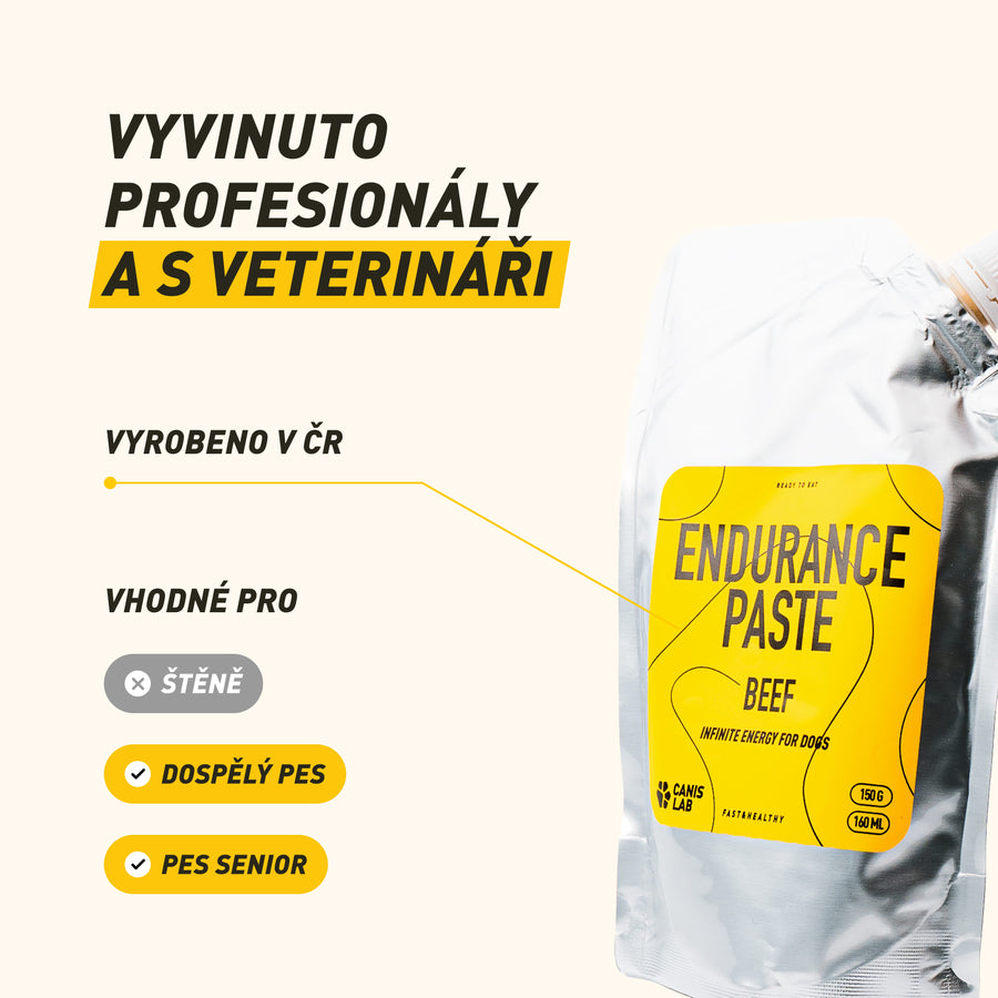 Endurance Paste | Energetická pasta pro okamžité dodání síly a výdrže při dlouhé zátěži