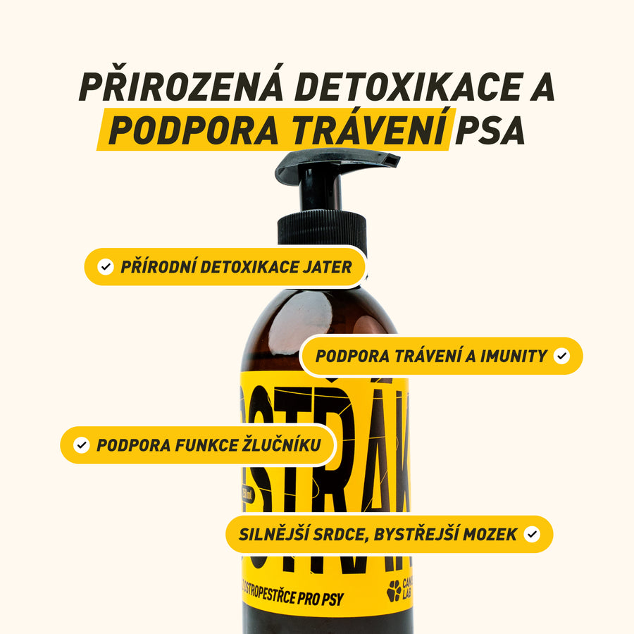 Ostřák | 100% ostropestřecový olej pro přirozenou detoxikaci jater a lepší trávení bez plynatosti