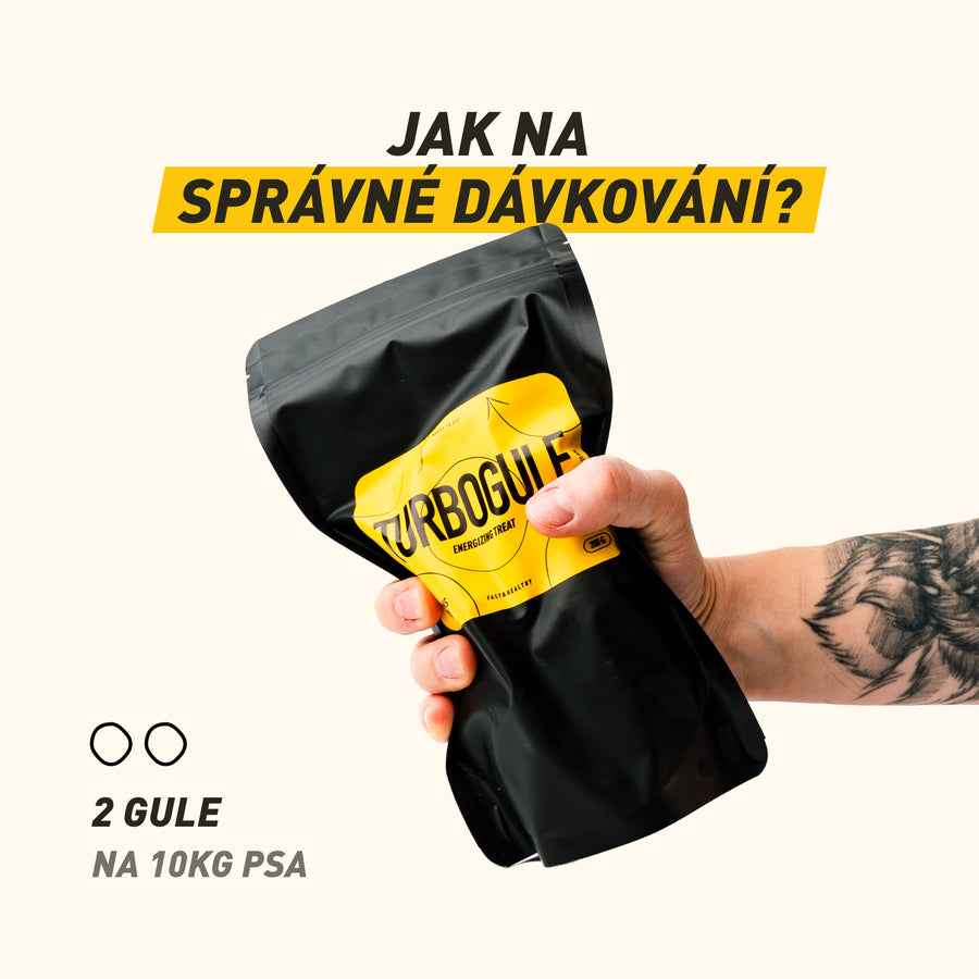 Turbogule | Energetický pamlsky pro psy na sport i výlety