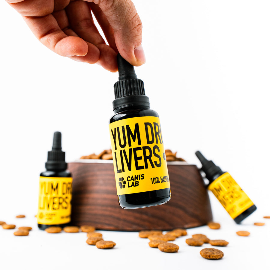 Yum Drops | Tekutý játrový extrakt, který okamžitě probudí chuť k jídlu i u těch nejmlsnějších psů