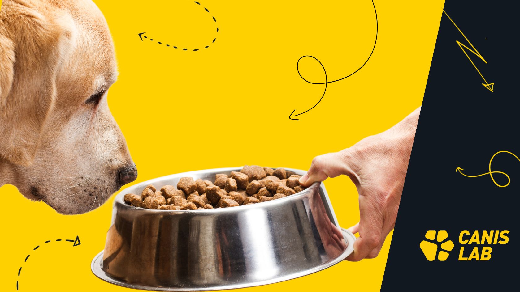 Jak vylepšit granule pro psa: přidej správné doplňky krmiva