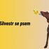 Silvestr se psem | Jak jej zvládnout v klidu