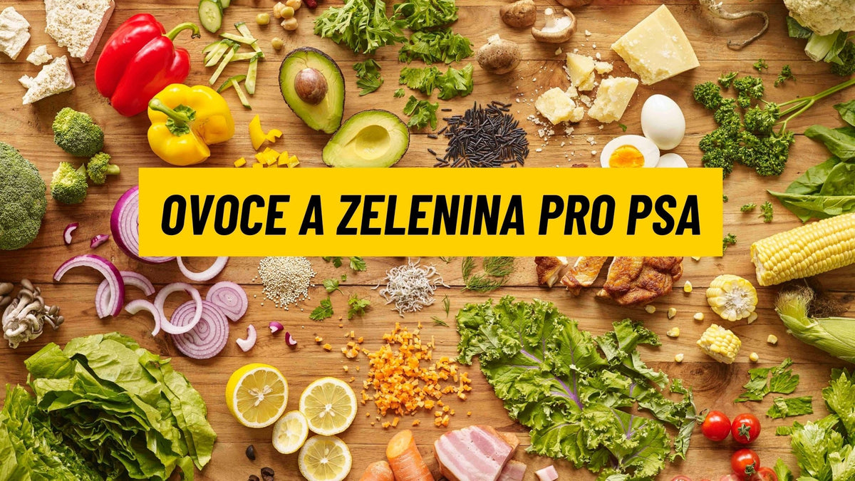 Jaké ovoce a zeleninu může pes?– Canis Lab