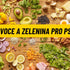 Jaké ovoce a zeleninu může pes?
