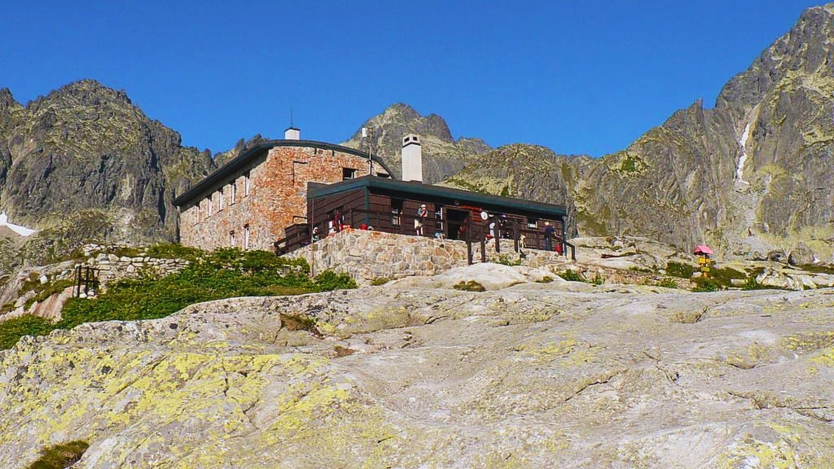 Kam na v let se psem vysok tatry star smokovec na t ryho chatu 1