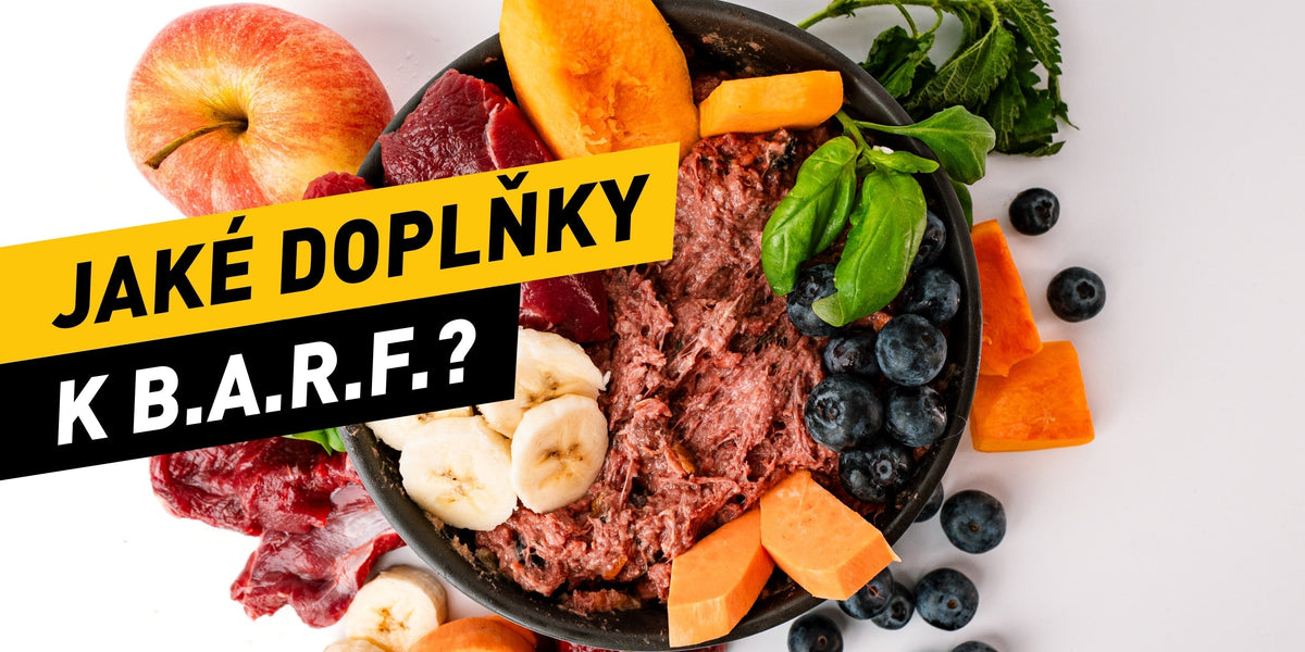 Jaké doplňky se hodí k B.A.R.F krmení– Canis Lab