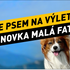 kam se psem na výlet: Hřebenovka Malé Fatry