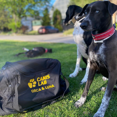 Canis Lab sportovní taška | Custom design