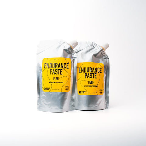 Endurance Paste | Nekonečná energie pro psy | 150 g