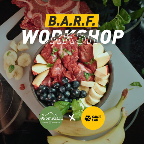 B.A.R.F. Workshop: Jak sestavit misku pro psa