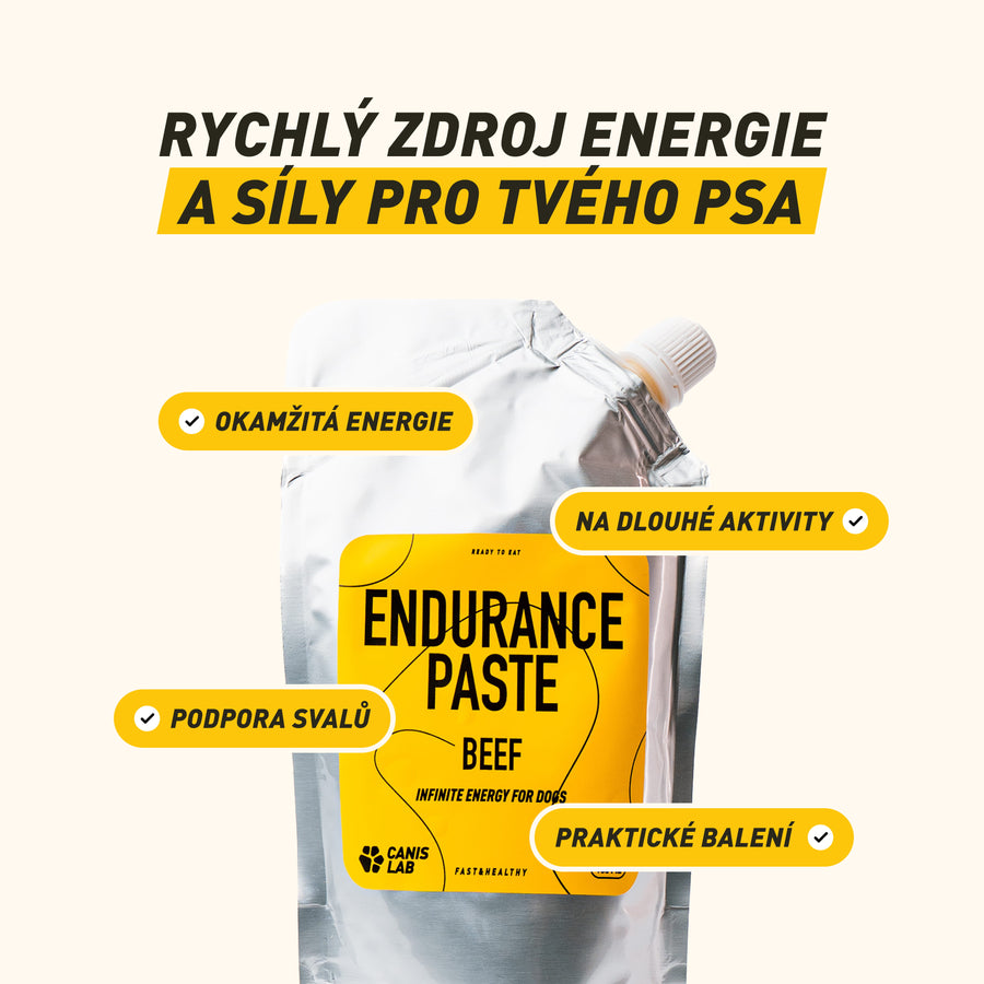 Endurance Paste | Energetická pasta pro okamžité dodání síly a výdrže při dlouhé zátěži