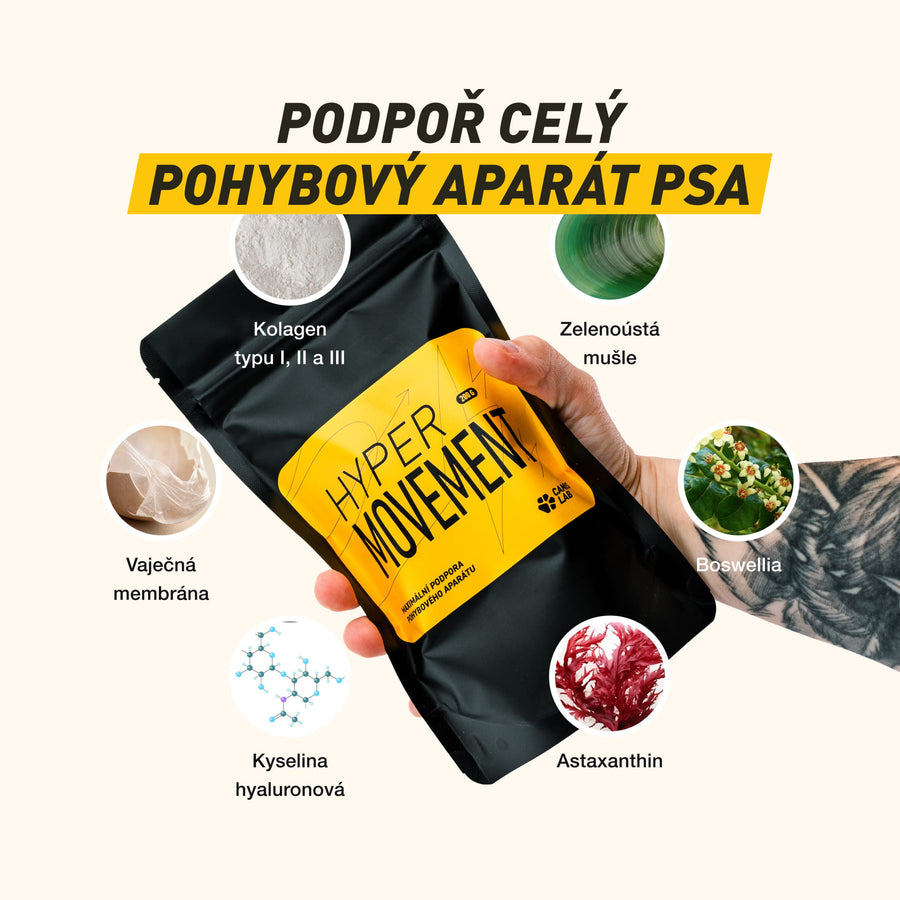 Balíček pro zdravé klouby a kosti | Výhodné balení