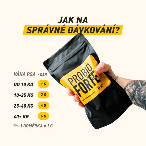 Probio Forte | Každodenní péče s ultra stabilními probiotiky a beta-glukanem pro silnou imunitu a pevný bobek