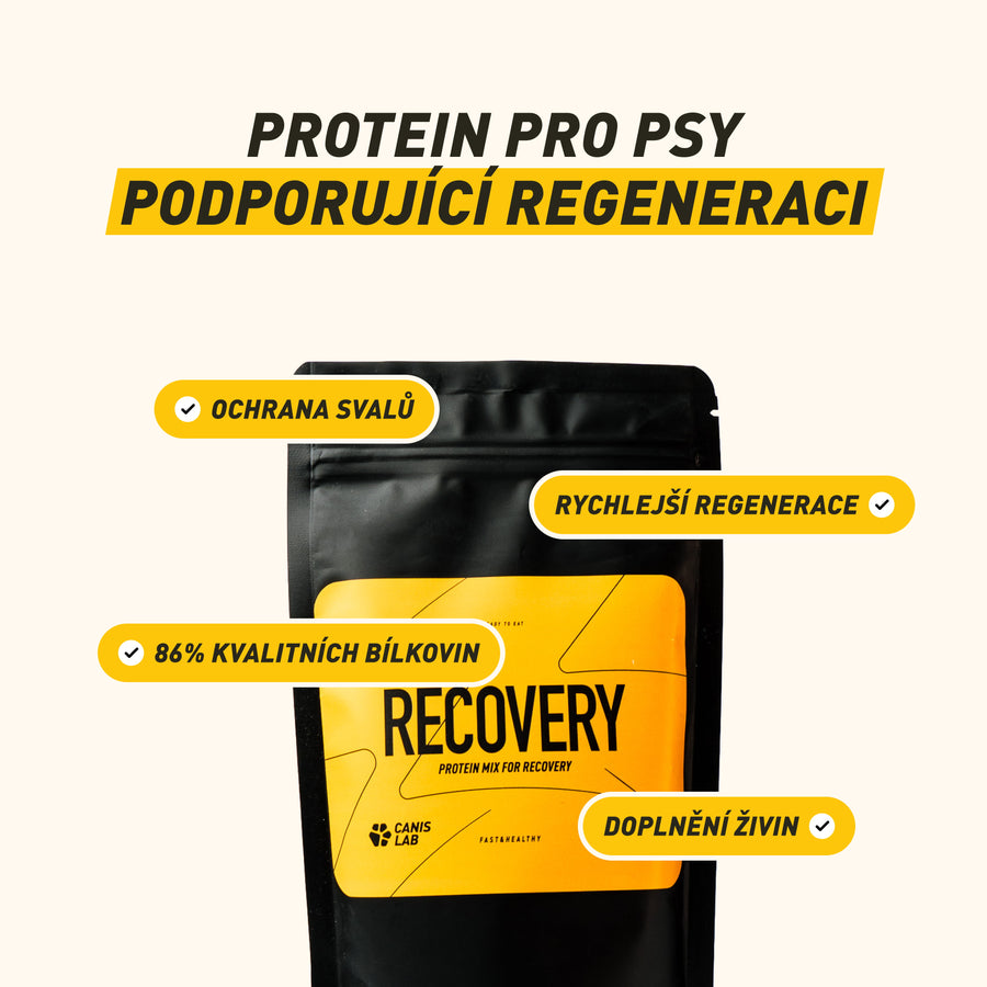 Recovery | Směs na přípravu nápoje pro psa pro obnovu svalů a rychlý návrat do formy, určeno po aktivitě