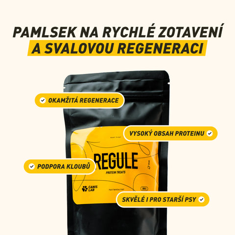 Regule | Regenerační pamlsky pro rychlé zotavení svalů a podporu kloubů po zátěži