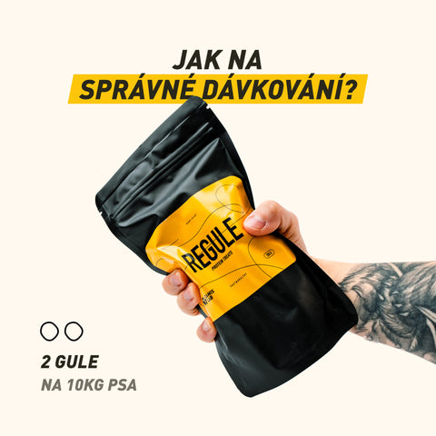 Regule | Regenerační pamlsky pro rychlé zotavení svalů a podporu kloubů po zátěži