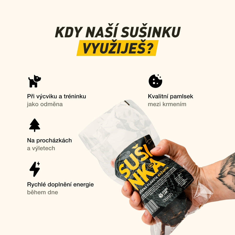 Poctivá Sušinka | 100% sušené maso z české přírody